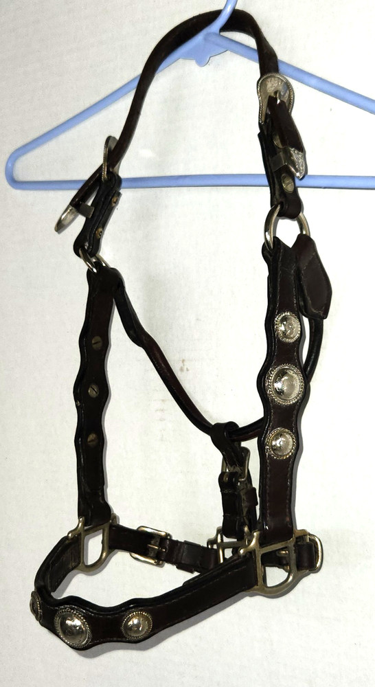 Brown Leather Silver Show Halter Yearling Size