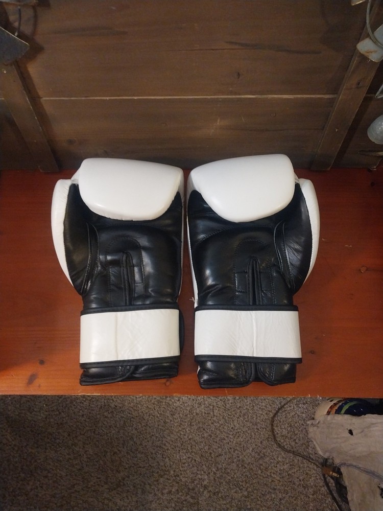 Daniel Gracie 16oz gloves