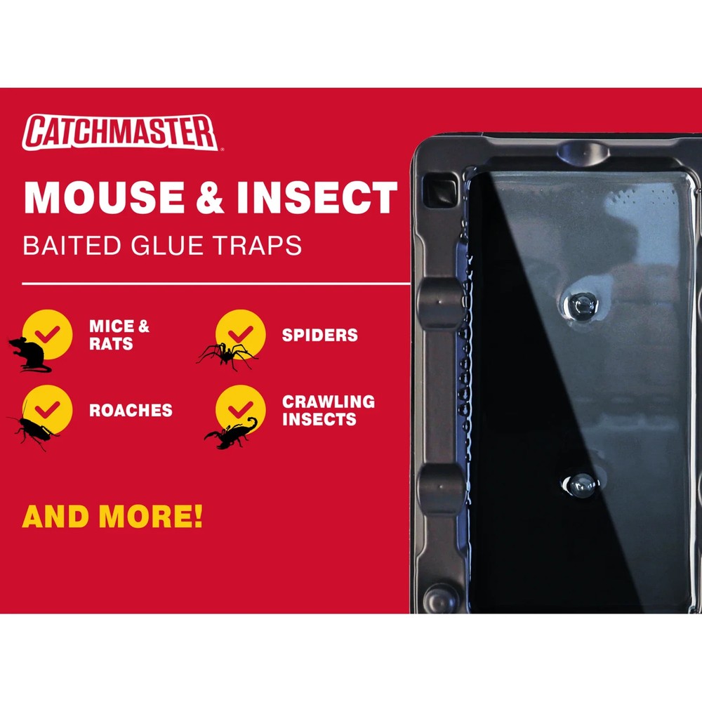 Catchmaster Mouse & Insect Solid Glue Traps 6 Count
