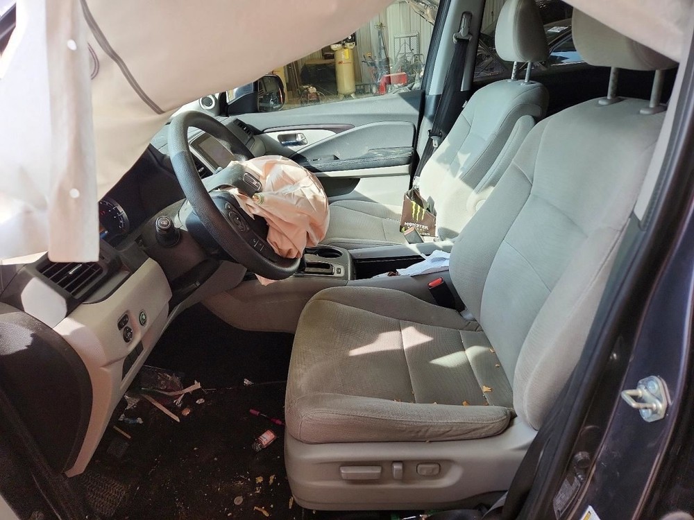 PILOT 2017 Jack 1552265