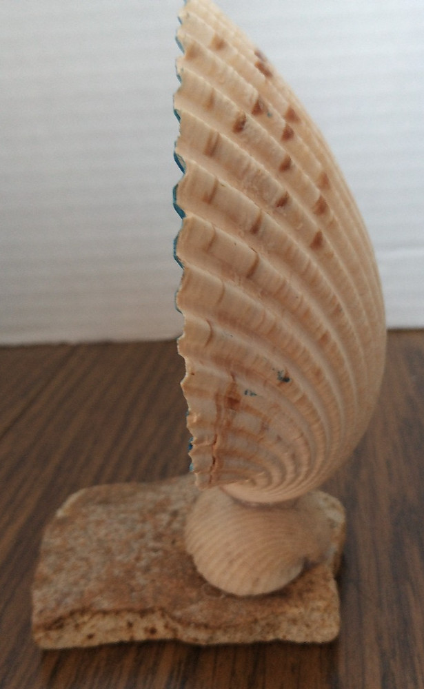 Handmade Blue Seashell Table Decoration