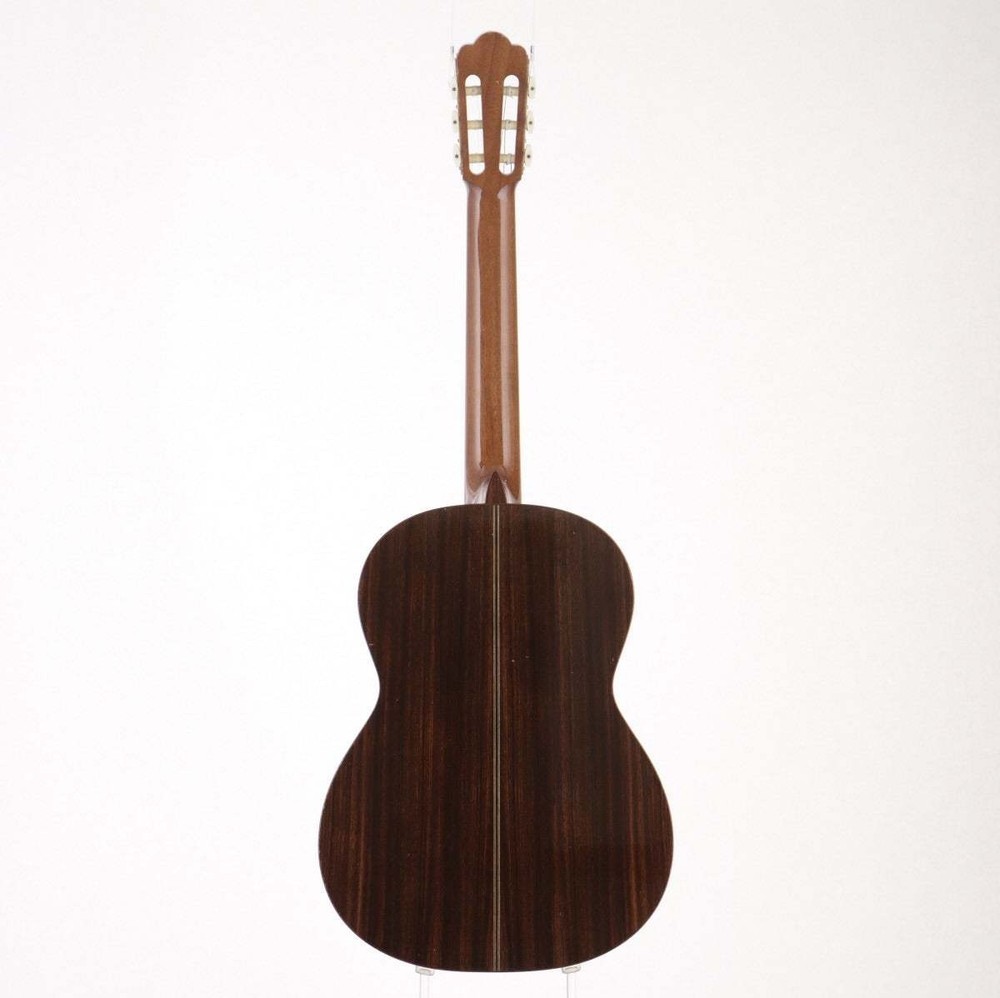 Asturias Classical Guitar with Hard Case