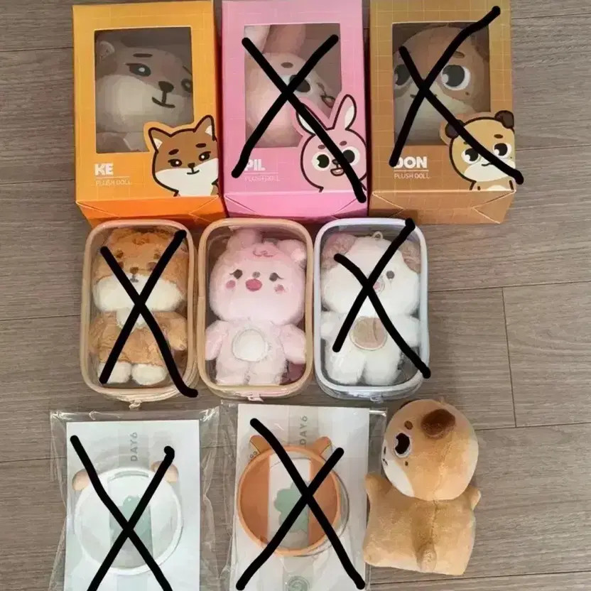 DAY6 Demalas Bundle Transfer with Items, Pre-Owned Condition