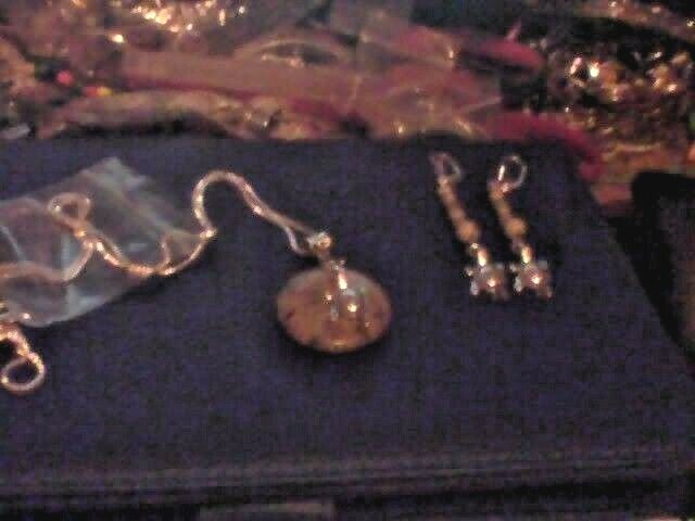 Silver turtles with Jasper