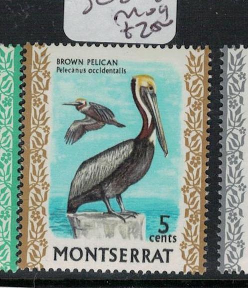 Montserrat Bird SC 246 MOG (3ecs)