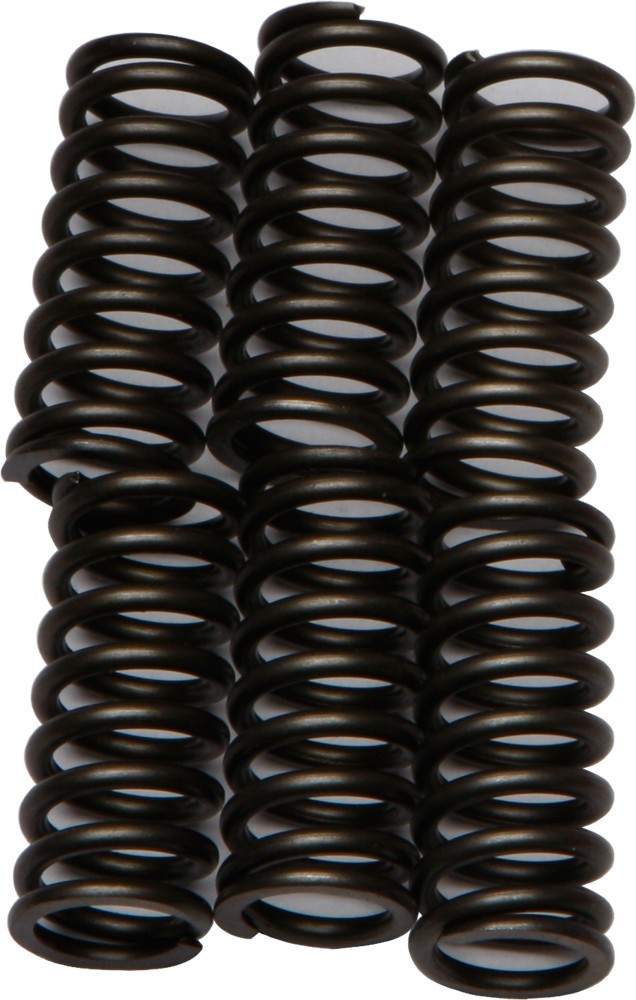 EBC Clutch Spring Set - Clutch Springs - CSK103
