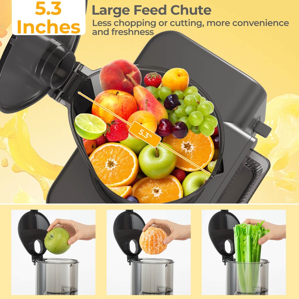 Cold Press Juicer Machine Professional Slow Masticating Juicer w/ Reverse Button