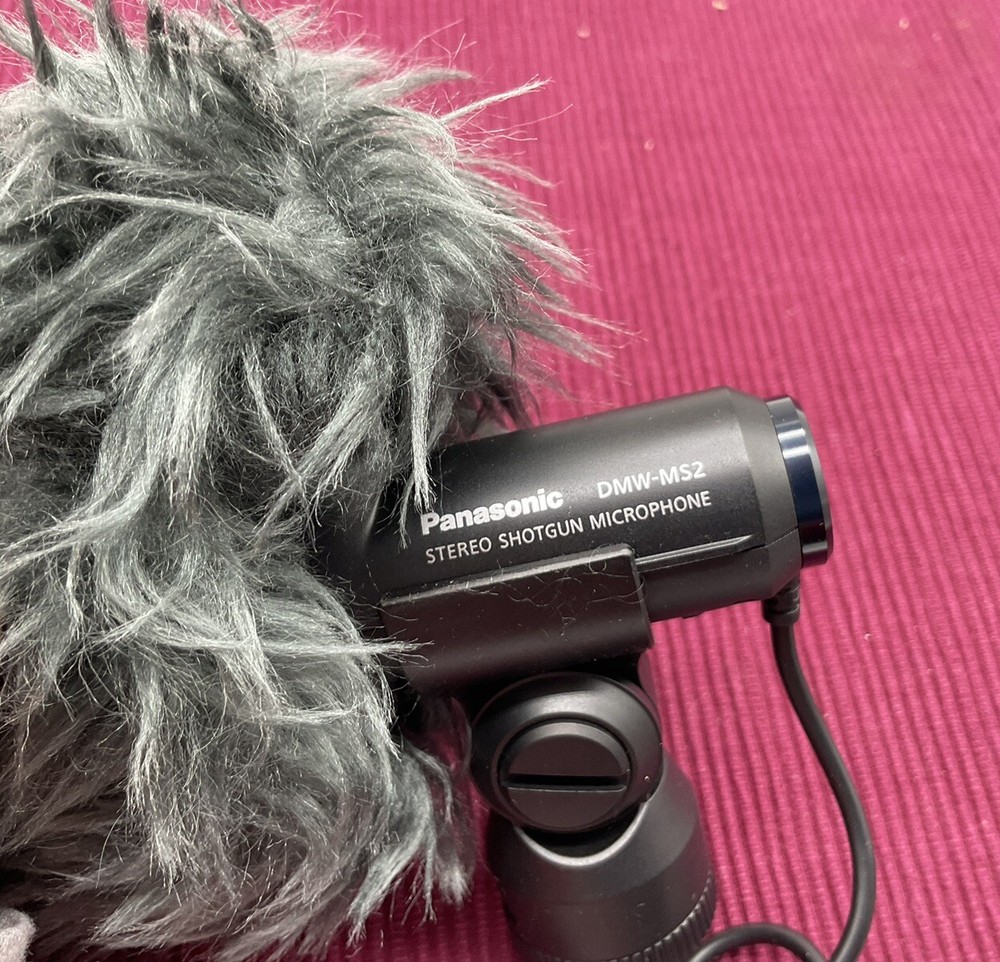 Panasonic DMW-MS2 Microphone
