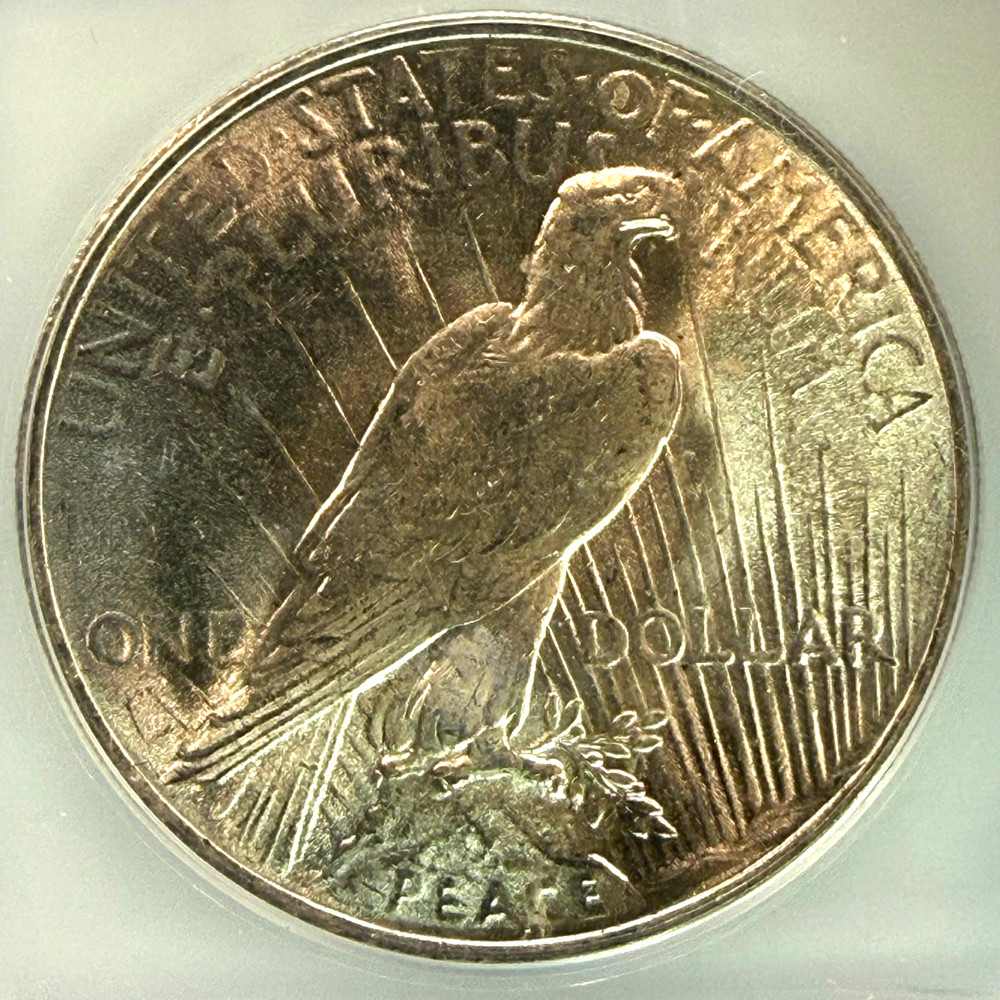 1923 Silver Peace Dollar ICG Graded MS 63