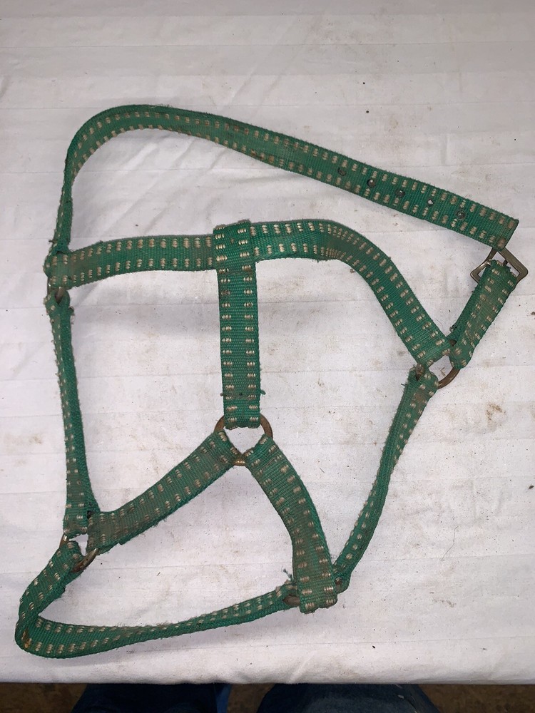 Green Nylon Horse Halter ~ Used