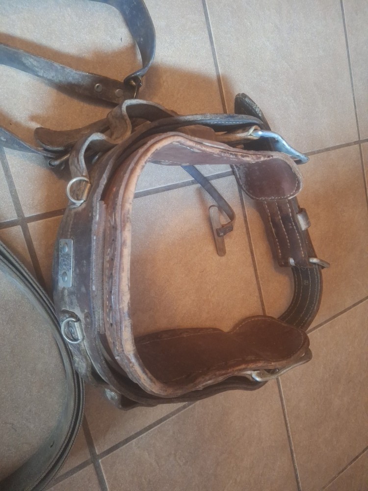 Klein Tree Climbing Spikes Bashlin Linemen Belt