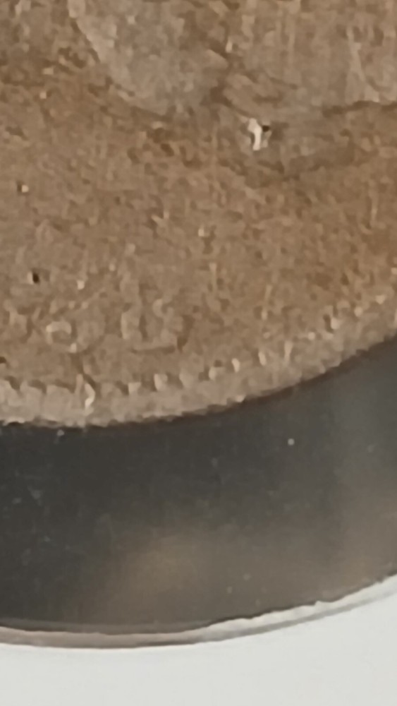 1858/7 Flying Eagle Cent Small Letter S/L Damage