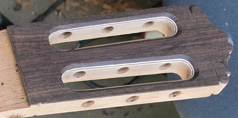 Make Your Own Rodriguez Guitar-Online Apprentice Guitar Making Course CDROM