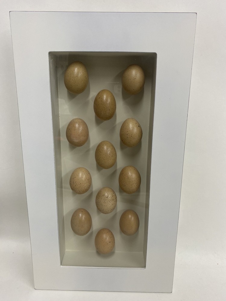 TWO Egg Shadow Boxes Made from 18 Real Hen Eggs