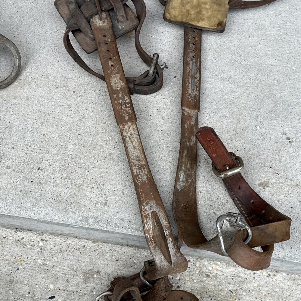 Vintage Klein Tree Climbing Spurs