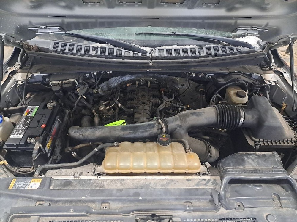 2018 Expedition Jack Sku#4354048