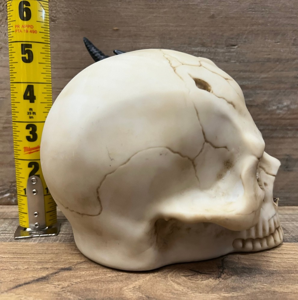 Dragon/Skull Resin Tabletop Decor 6" x 5.5"