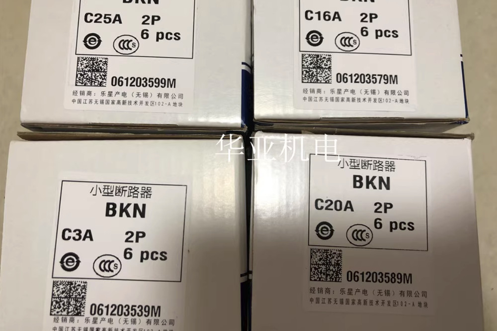 LG Mini Circuit Breaker BKN-2P