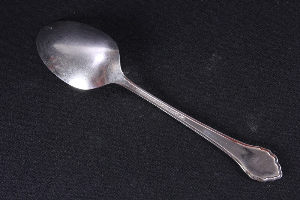 Summer Mist-Autumn Glow Serving Spoon & Cold Meat Fork Oneida Stainless