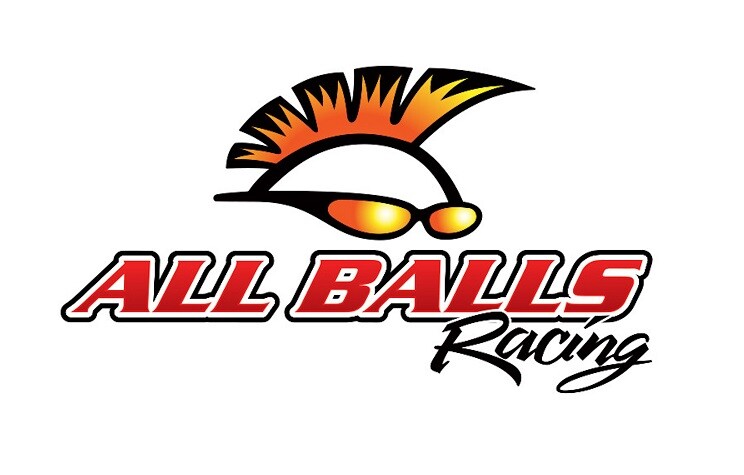 NEW ALL BALLS 19-1004 U-Joint Kit