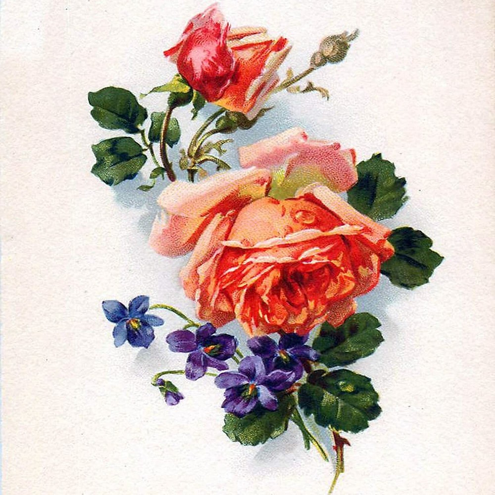 Flowers Roses Violets by C. Klein Tile Mural Kitchen Backsplash Marble Ceramic