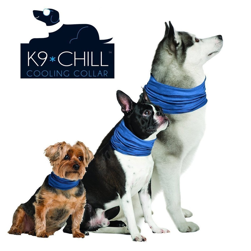 Dog Cooling Collar (Small/Medium 8"- 20") Small/Medium 8"- 20"