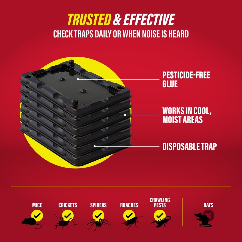 Catchmaster Mouse & Insect Glue Traps