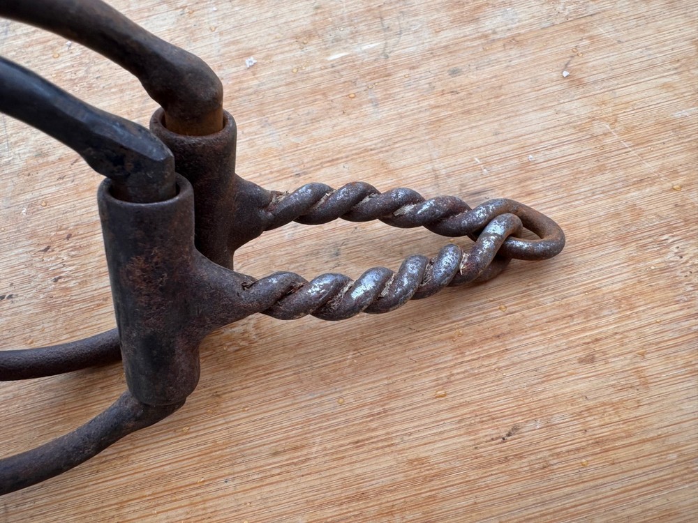 Sweet Iron Twisted Western Dee Ring Snaffle Bit ~ 5" ~ Dutton ?