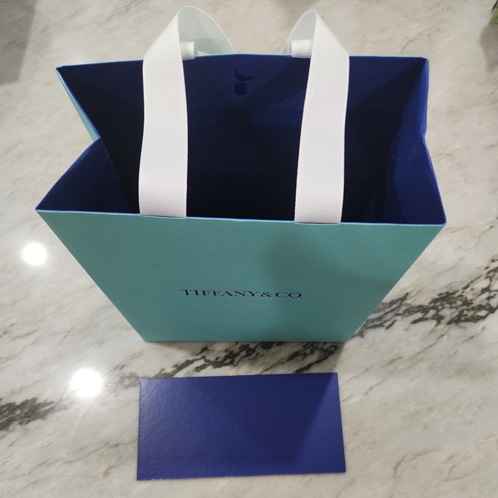 NEWEST Tiffany & Co. Shopping Bag Empty