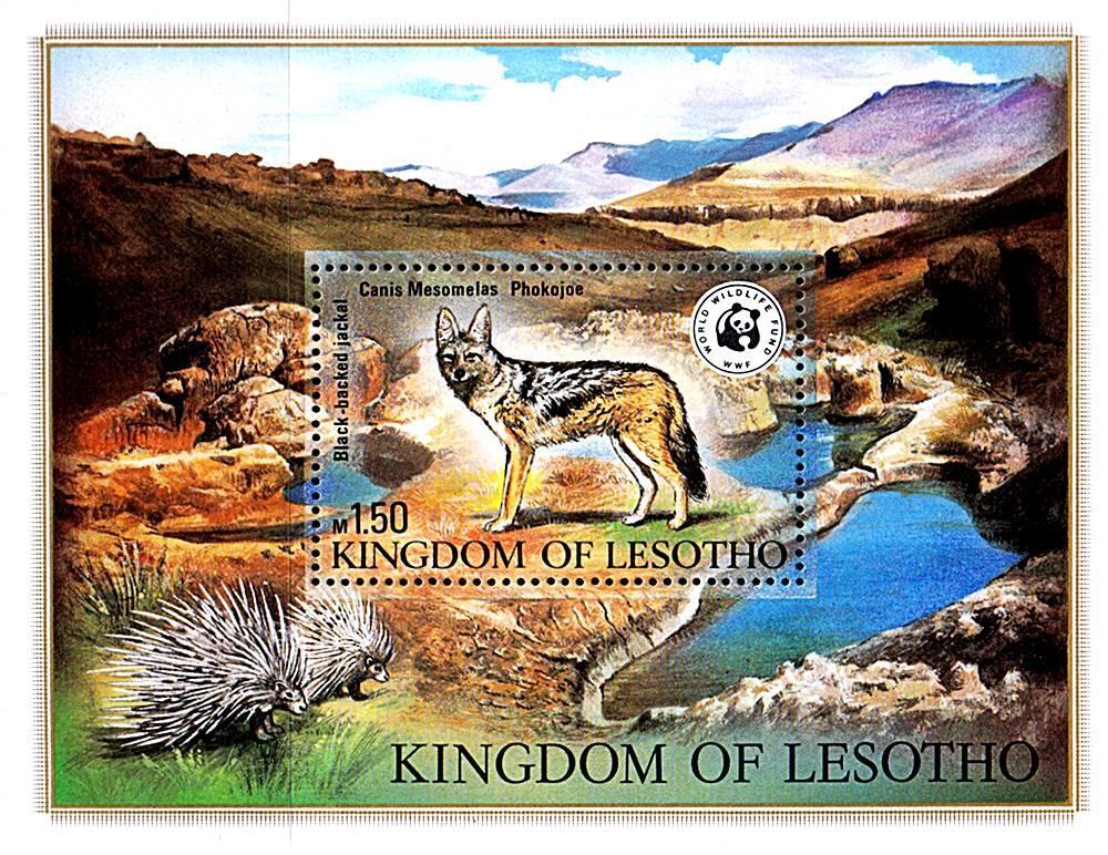 LESOTHO 1982 WWF- WOLF S/S  ** ANIMALS 💲FREE SHIPPING💲