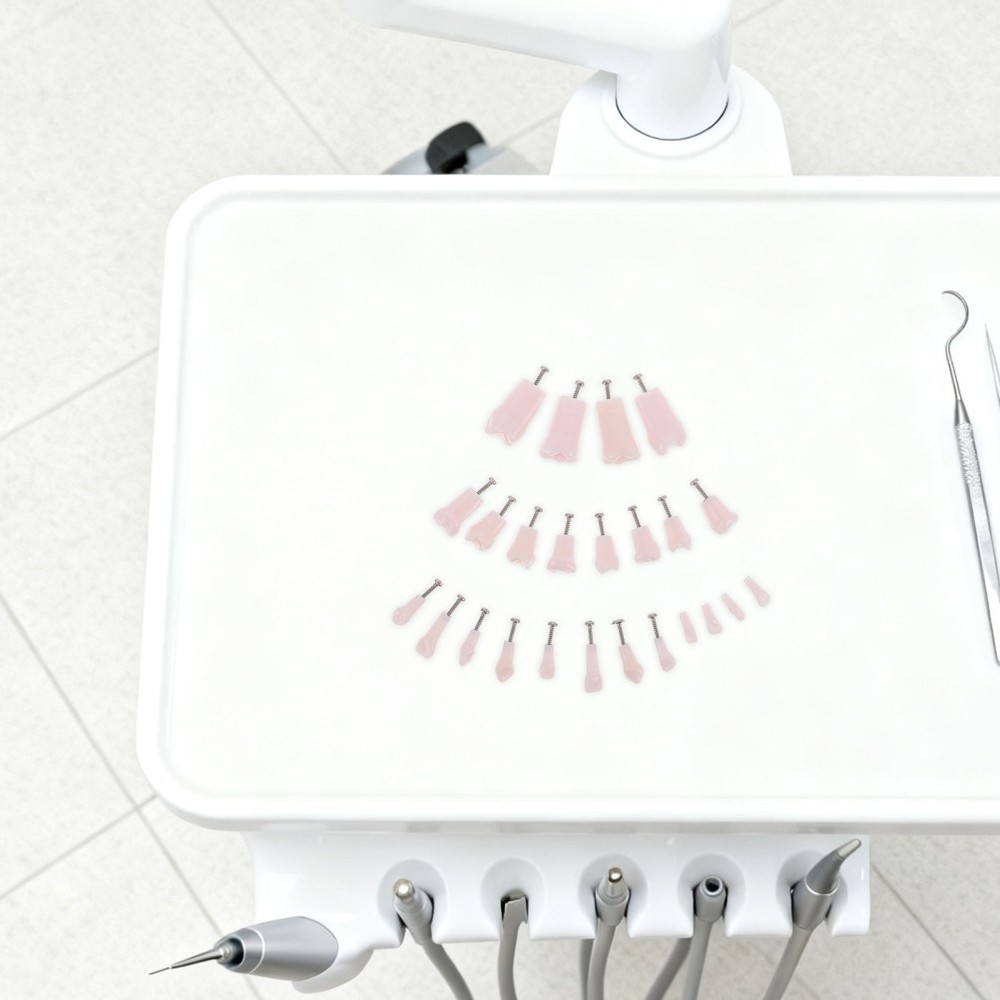 24pcs Typodont Teeth Model Dental Replacement Tooth Artificial Teeth