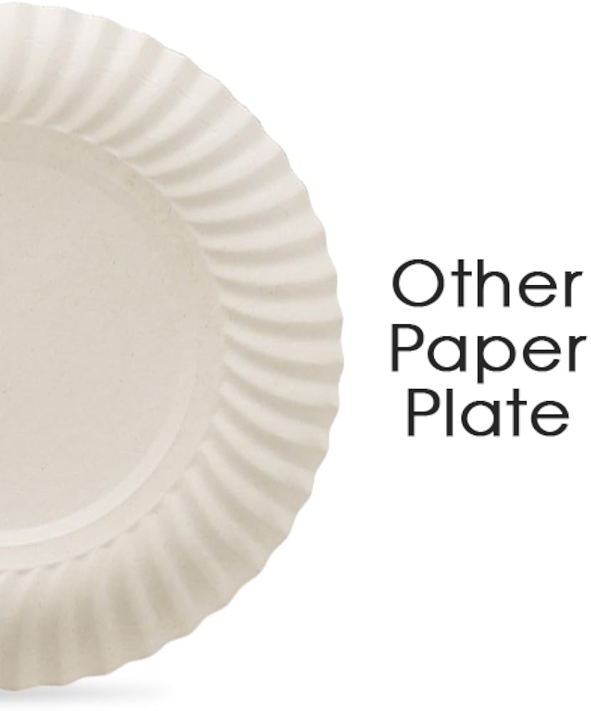 6 Inch Disposable postable Small Paper Plates, Recycled