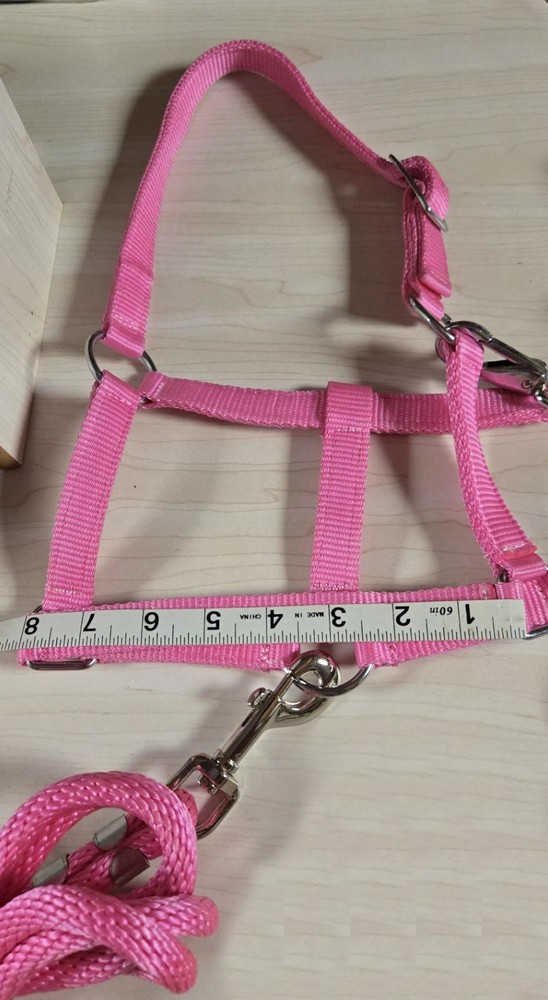 Miniature Horse Halter & Lead Combo