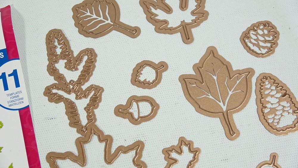 Spellbinders Shapeabilities Fall Foliage Craft Dies S5120