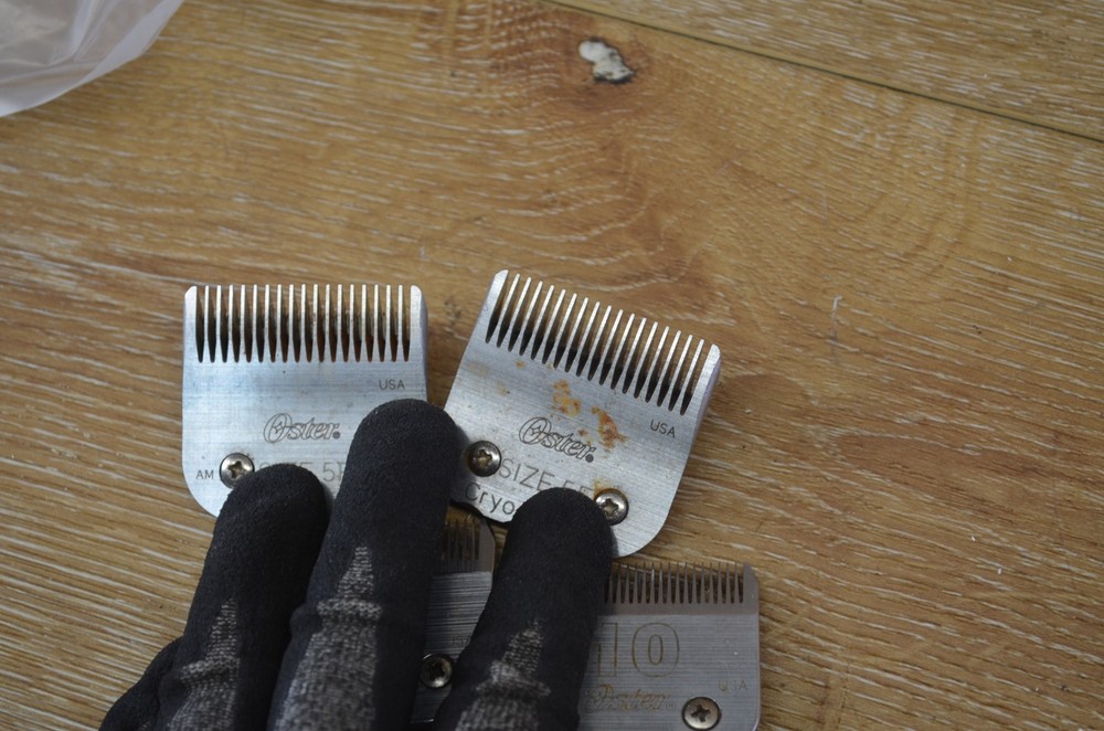 oster cryogen-x blades lot