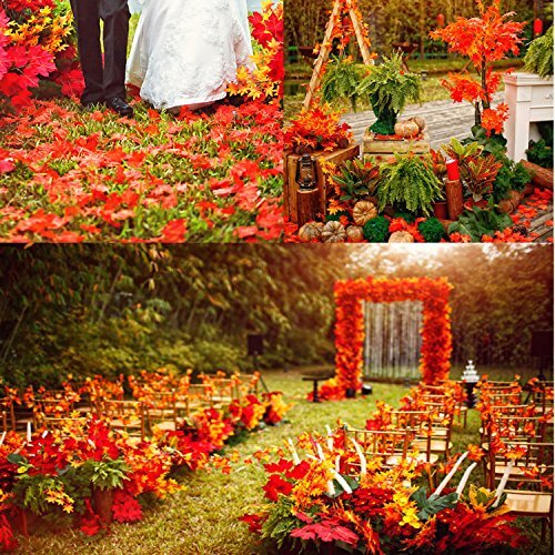 300 Pieces Artificial Autumn Maple Leaves Mixed Fall Colored Leaf for