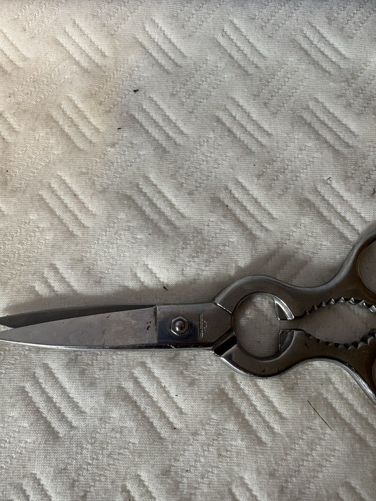 Brushed Stainless Kitchen Shears Pull Apart Made In Italy