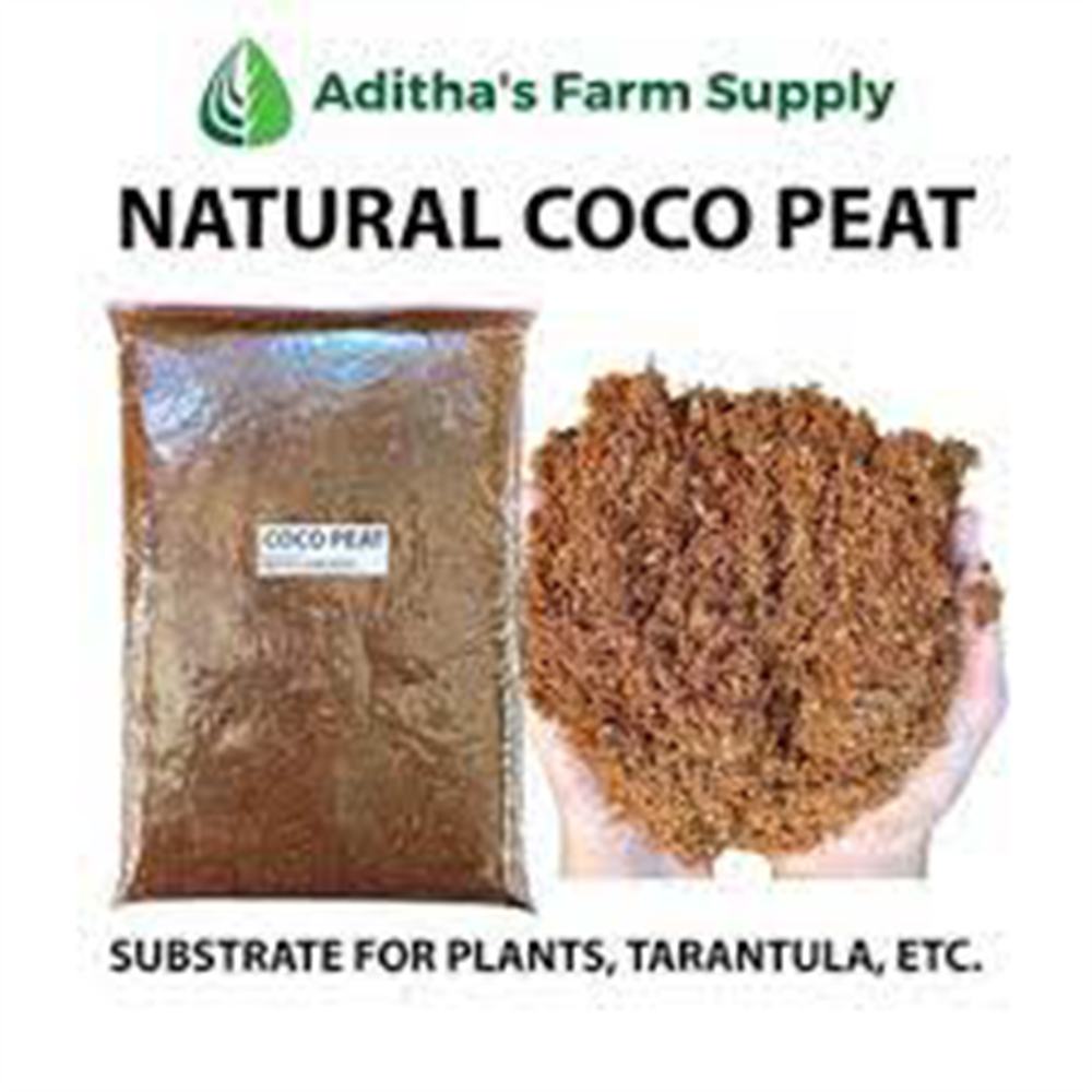 coco husk powder