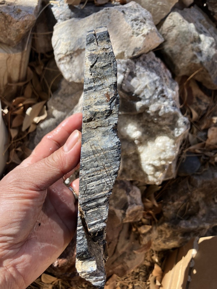 Petrified Wood Slab (End Cut)