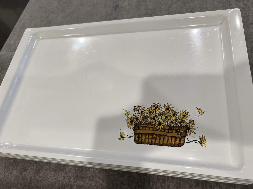 RARE Sterilite Trays-8