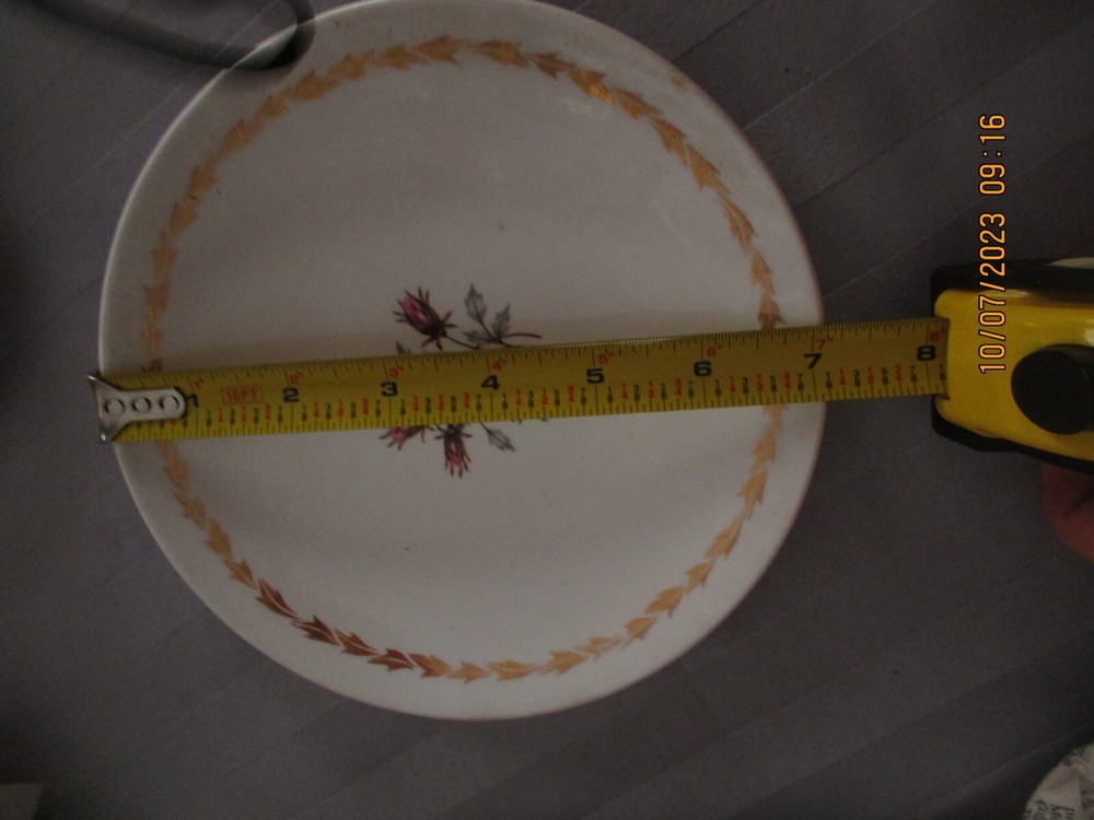 ROYAL WHISPER (2) SMALL DINNER PLATE