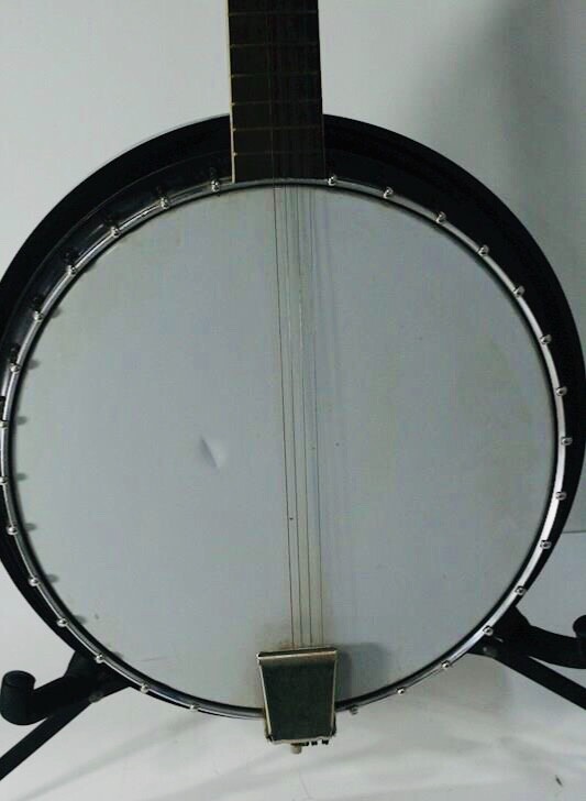 Harmony 5 String Banjo