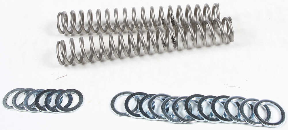 Race Tech Fork Springs 1.1 kg/mm FRSP S3825110