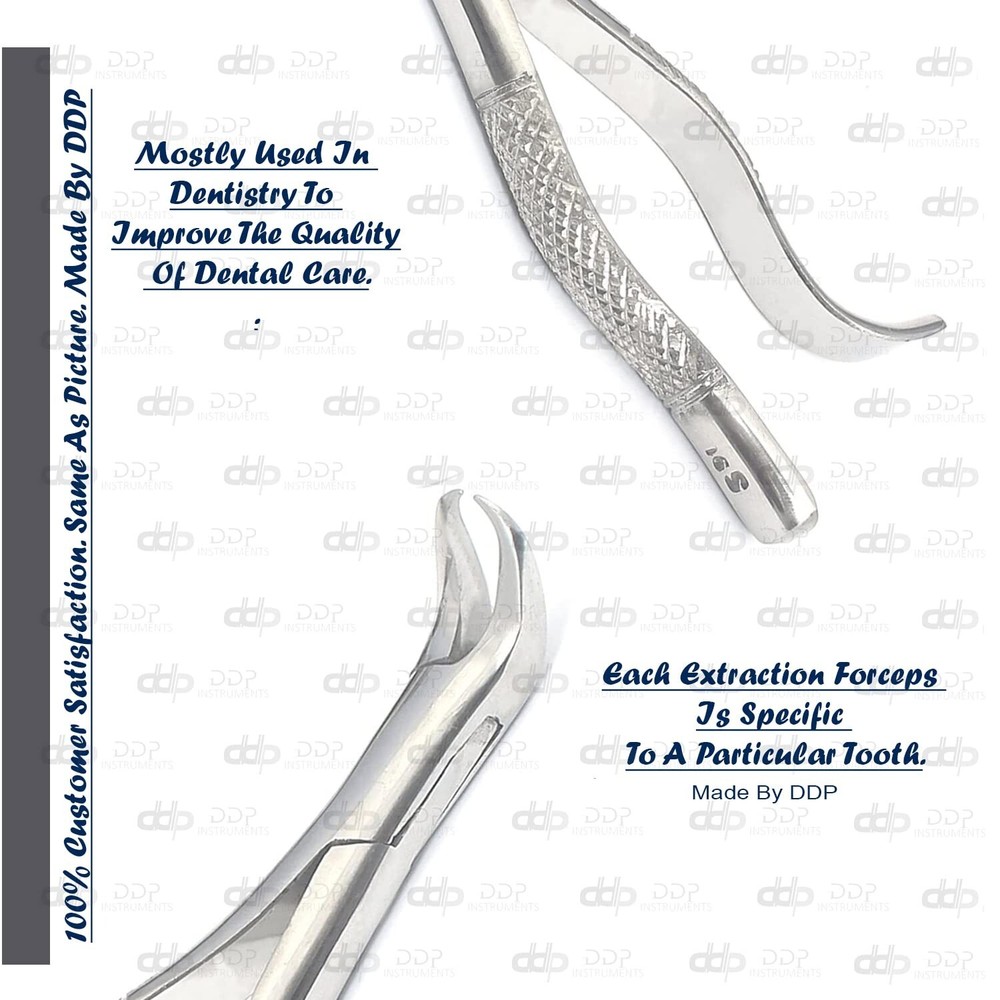 Tooth Extracting Forceps # 16S Surgical Dental Instruments