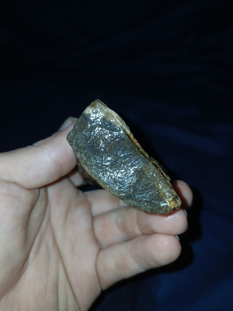 9 oz Agatized Texas Petrified Wood