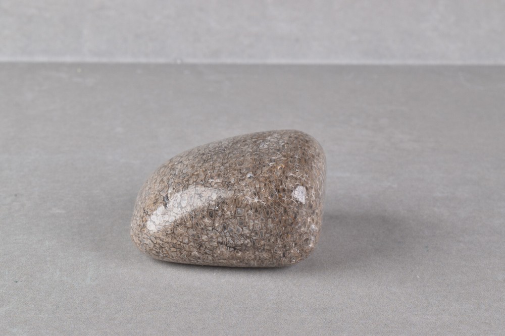Fossilized Dinosaur Bone Polished from Morocco 4.0 cm # 19757