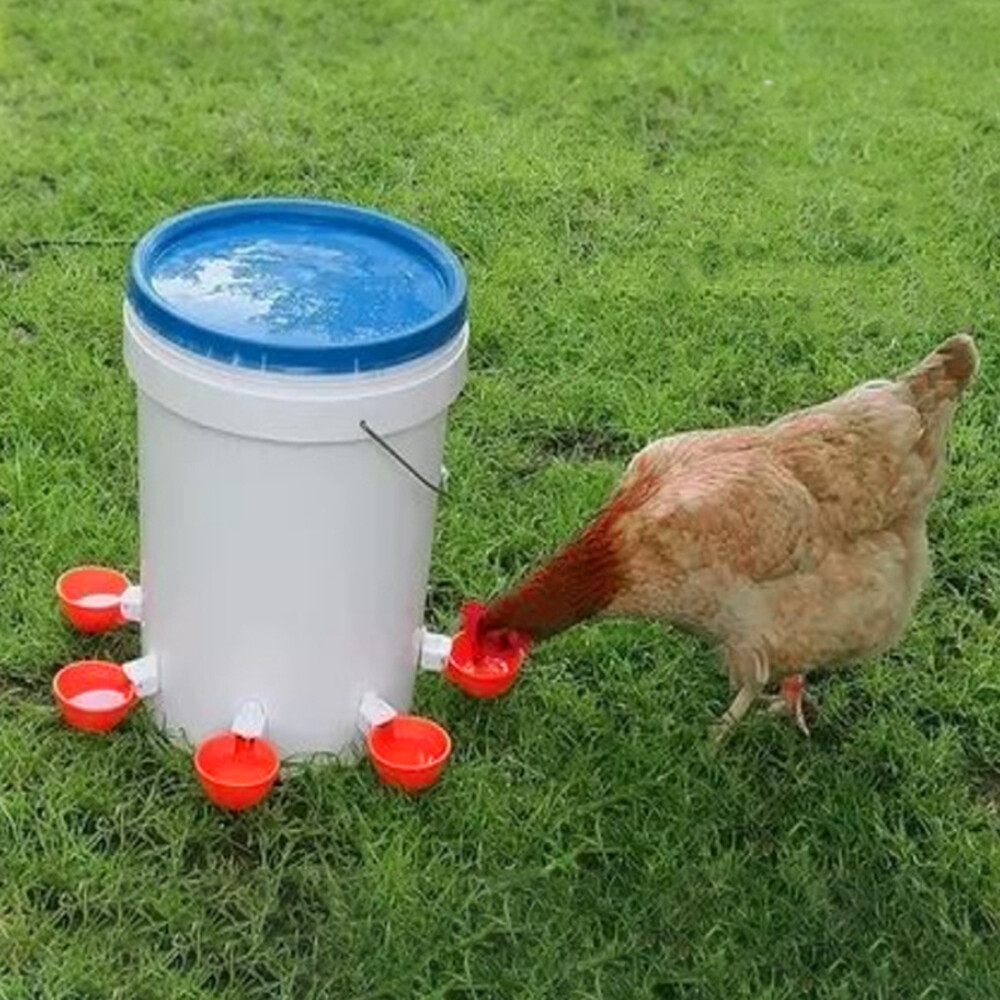 8 PCS Automatic Waterer Poultry Chicken Water Cup Feeder Drinker Drinking Bowl