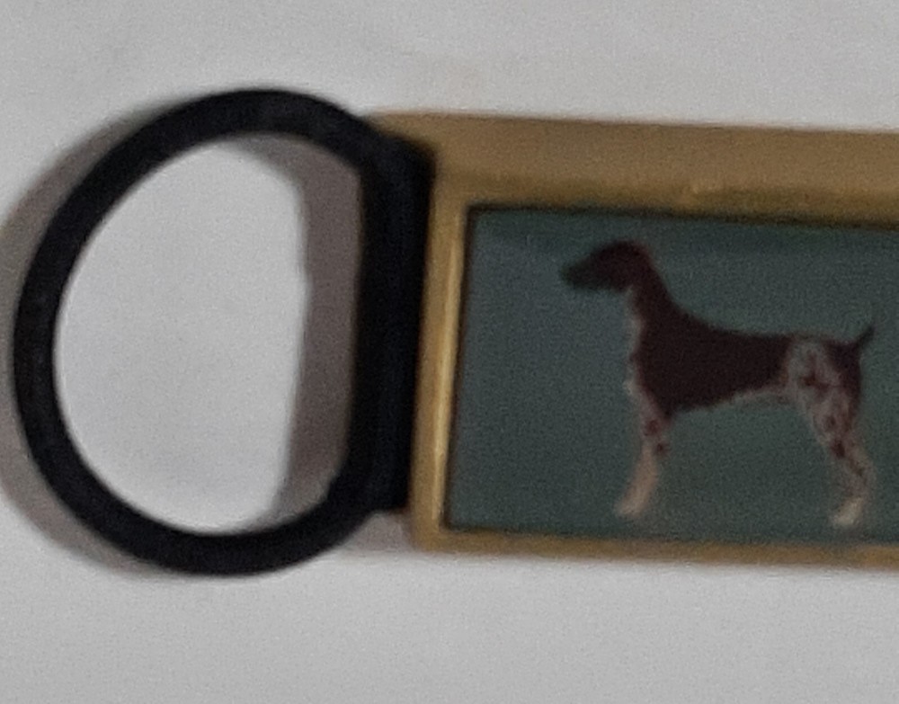 DISONTAG QR Code Dog Tags Personalized for Pets German Short-haired Pointer NEW