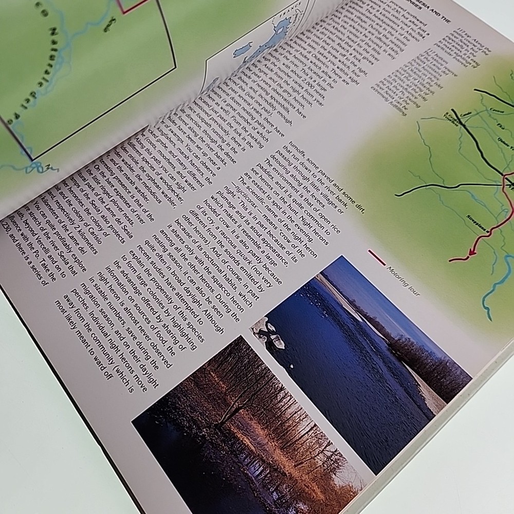 Birdwatching Angelo Gandolfi 1995 Hardback Book