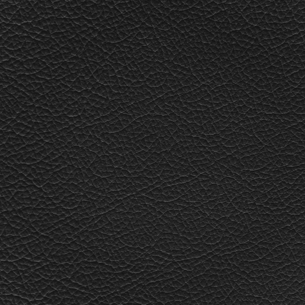 Ford/Lincoln/Mercury Ebony Leather Dye